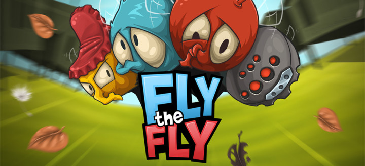 Fly the Fly